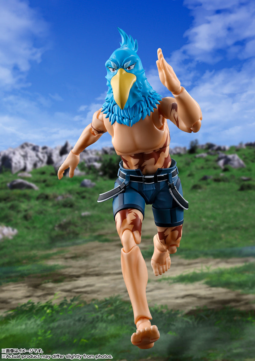 S.H.Figuarts – Sunraku Action Figure