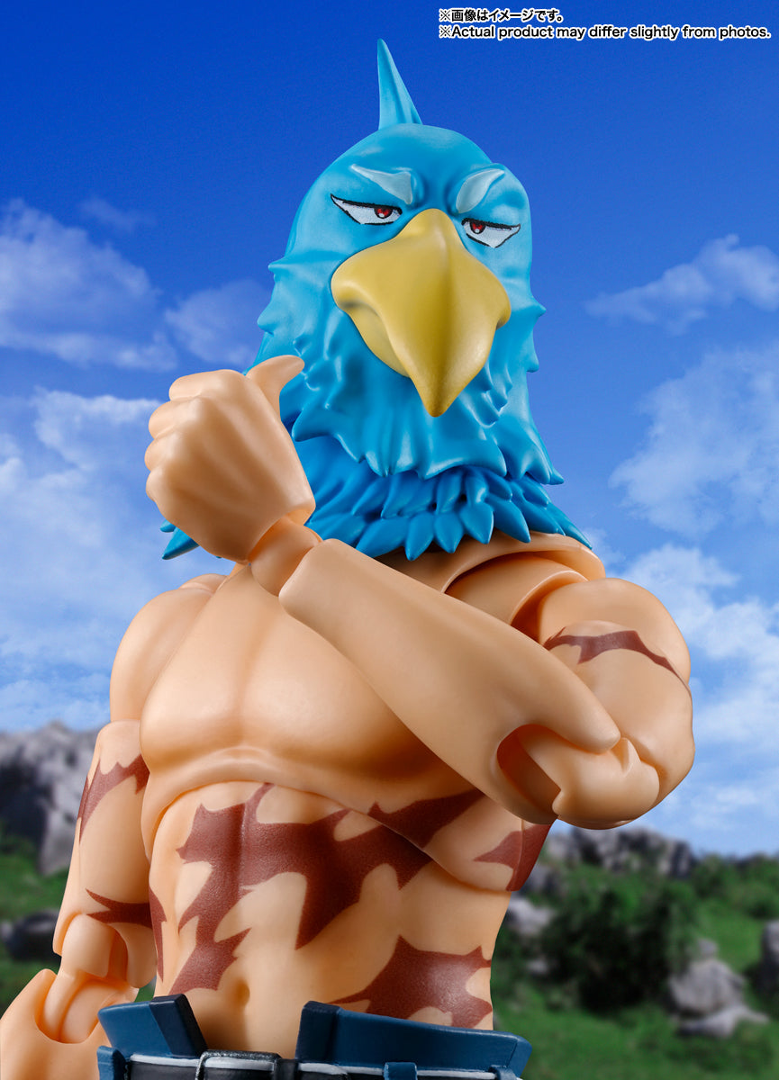 S.H.Figuarts – Sunraku Action Figure